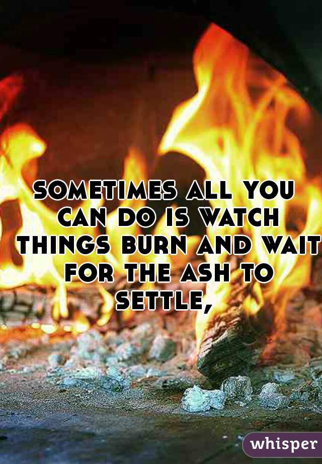 sometimes all you can do is watch things burn and wait for the ash to settle, 
