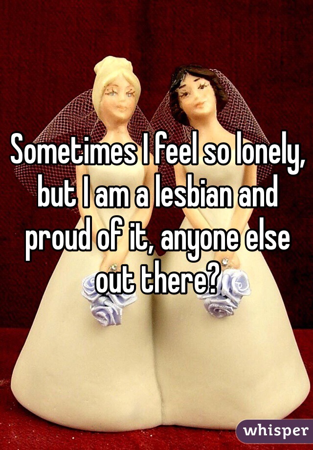 Sometimes I feel so lonely, but I am a lesbian and proud of it, anyone else out there?