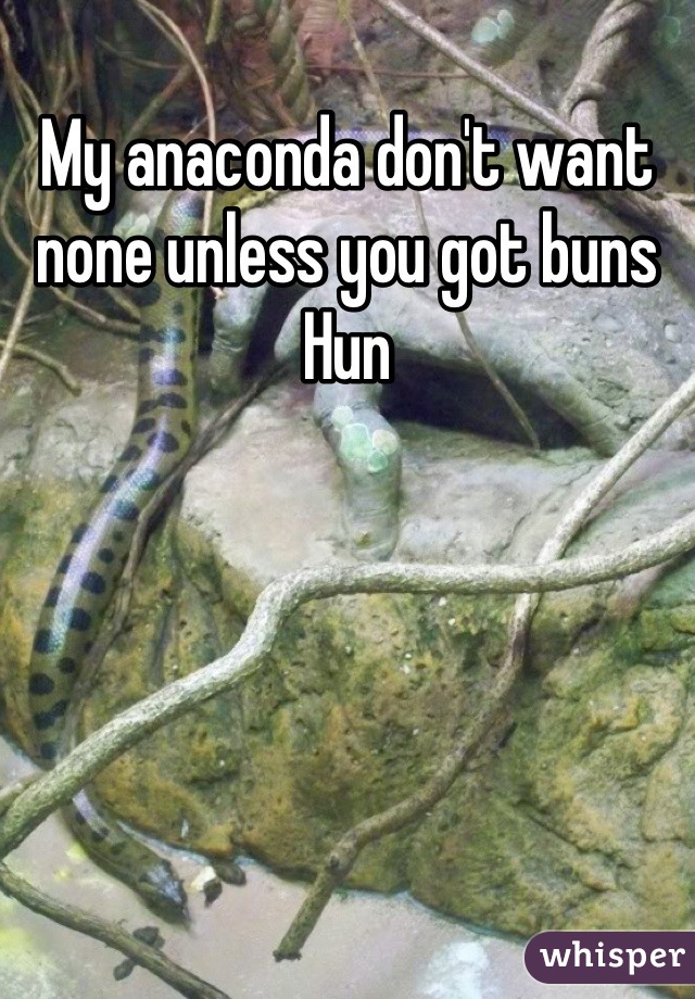 My anaconda don't want none unless you got buns Hun