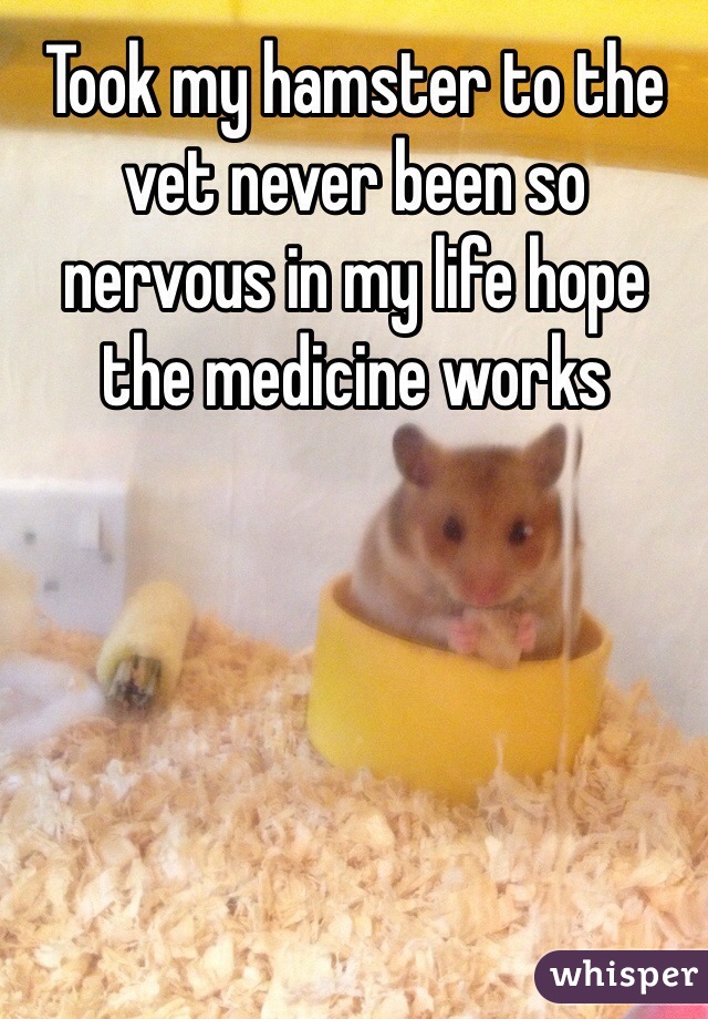 Took my hamster to the vet never been so nervous in my life hope the medicine works 