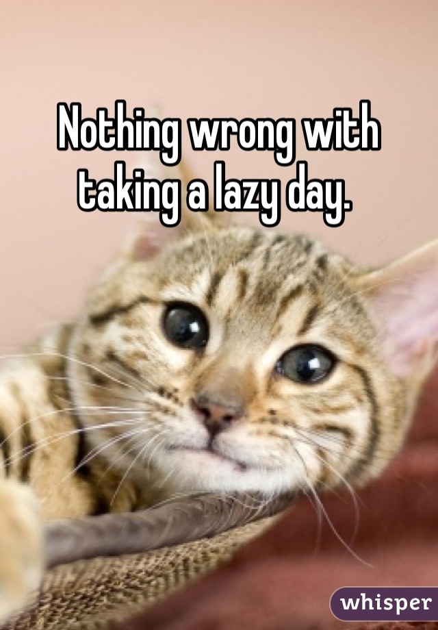 Nothing wrong with taking a lazy day. 