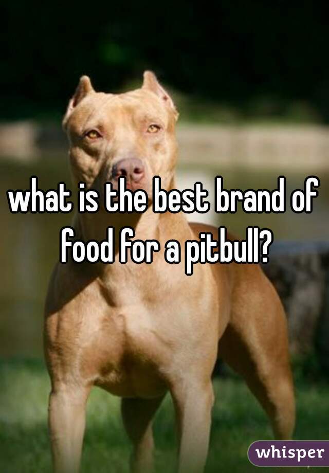 what is the best brand of food for a pitbull?