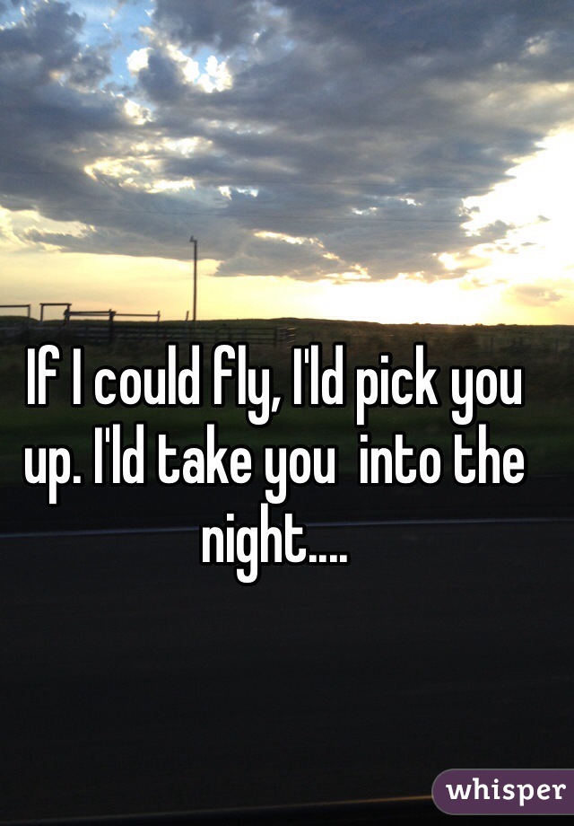 If I could fly, I'ld pick you up. I'ld take you  into the night....