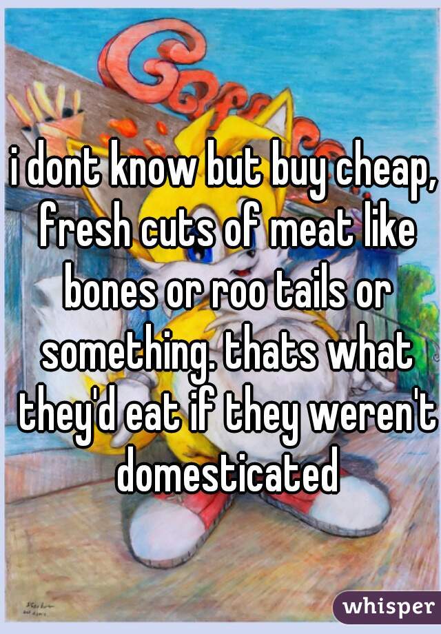 i dont know but buy cheap, fresh cuts of meat like bones or roo tails or something. thats what they'd eat if they weren't domesticated