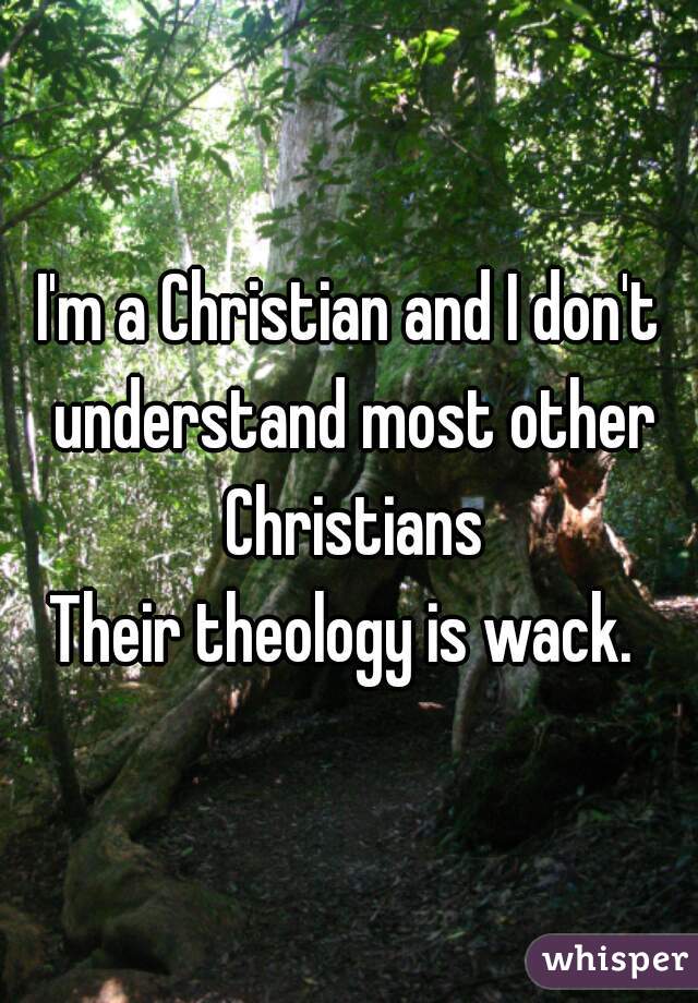 I'm a Christian and I don't understand most other Christians
Their theology is wack. 
