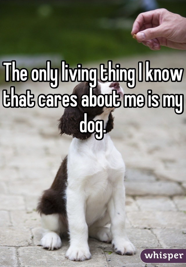 The only living thing I know that cares about me is my dog.