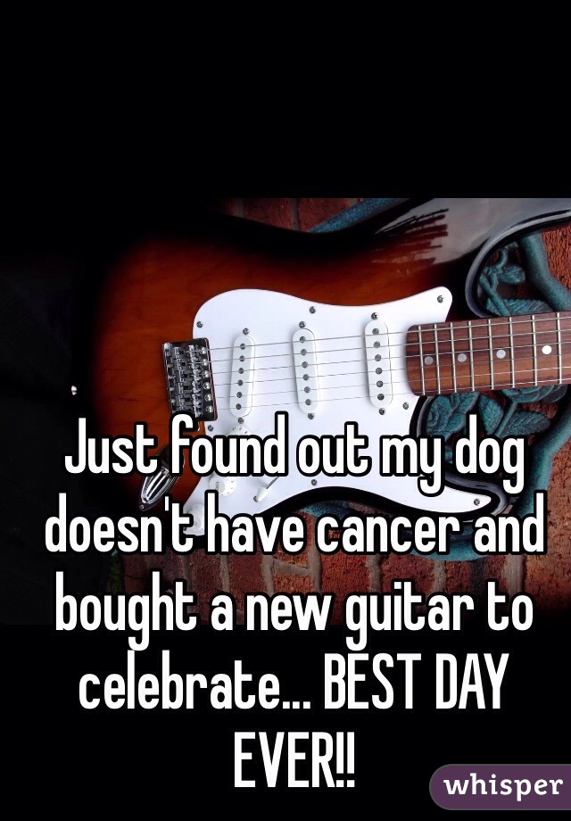 Just found out my dog doesn't have cancer and bought a new guitar to celebrate... BEST DAY EVER!!