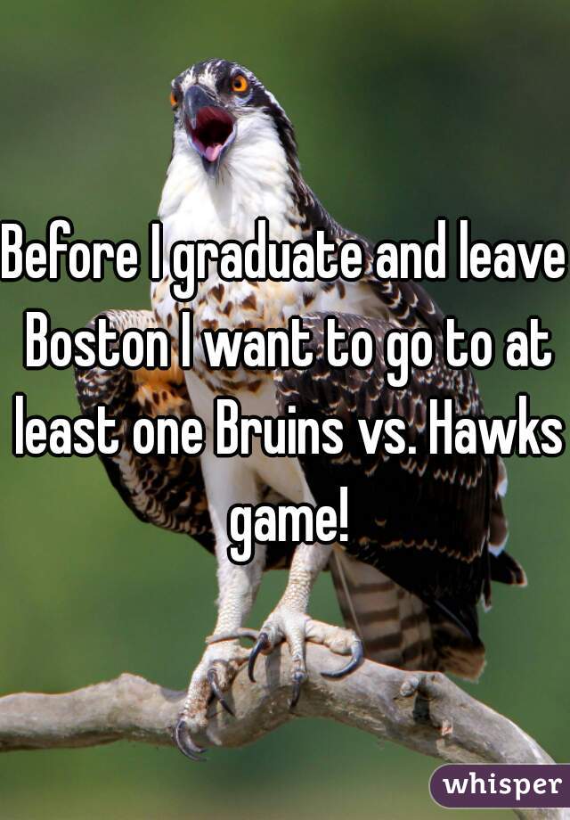 Before I graduate and leave Boston I want to go to at least one Bruins vs. Hawks game!