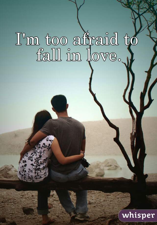 I'm too afraid to 
fall in love.
 