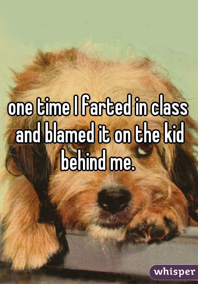 one time I farted in class and blamed it on the kid behind me. 
