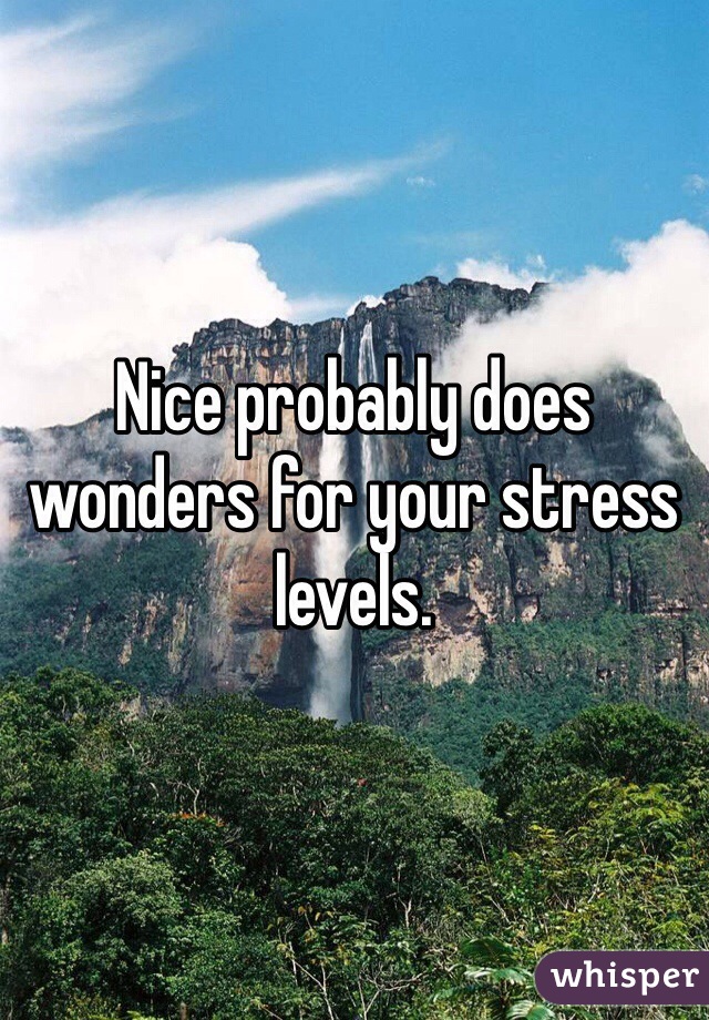 Nice probably does wonders for your stress levels. 