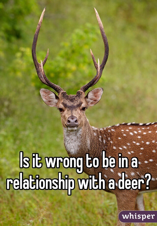Is it wrong to be in a relationship with a deer?
