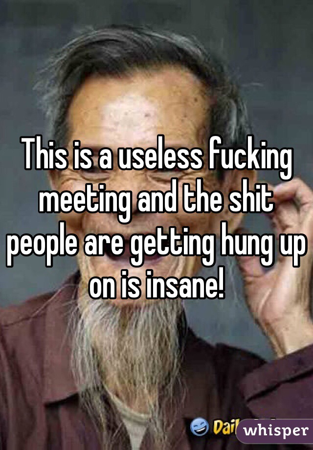 This is a useless fucking meeting and the shit people are getting hung up on is insane!
