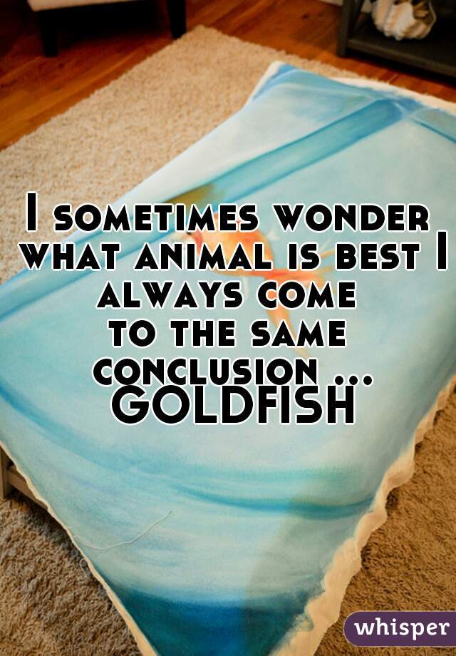 I sometimes wonder what animal is best I always come 
to the same conclusion ... GOLDFISH 