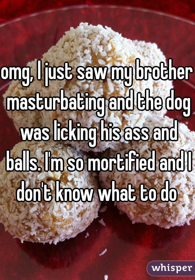 omg, I just saw my brother masturbating and the dog was licking his ass and balls. I'm so mortified and I don't know what to do 