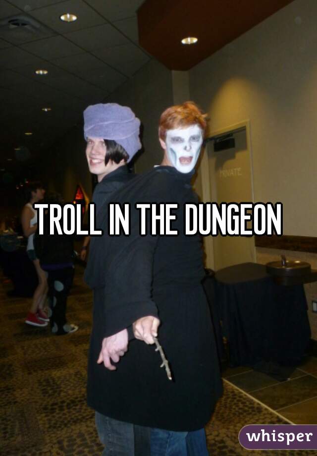 TROLL IN THE DUNGEON