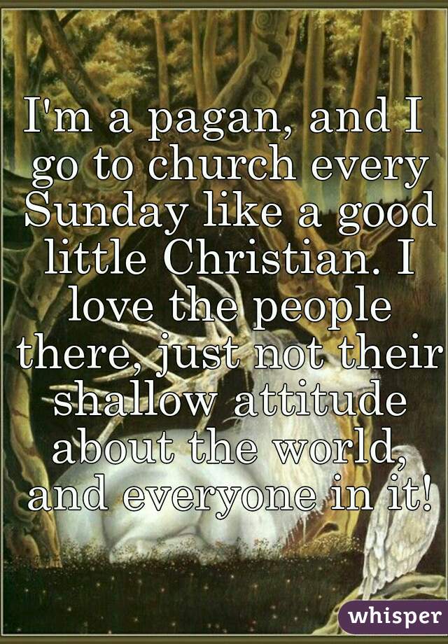 I'm a pagan, and I go to church every Sunday like a good little Christian. I love the people there, just not their shallow attitude about the world, and everyone in it!
