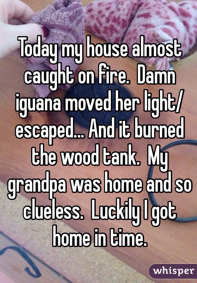 Today my house almost caught on fire.  Damn iguana moved her light/escaped... And it burned the wood tank.  My grandpa was home and so clueless.  Luckily I got home in time.