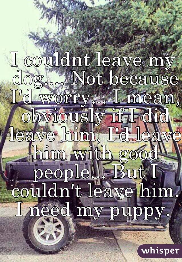 I couldnt leave my dog.... Not because I'd worry... I mean, obviously if I did leave him, I'd leave him with good people... But I couldn't leave him. I need my puppy. 