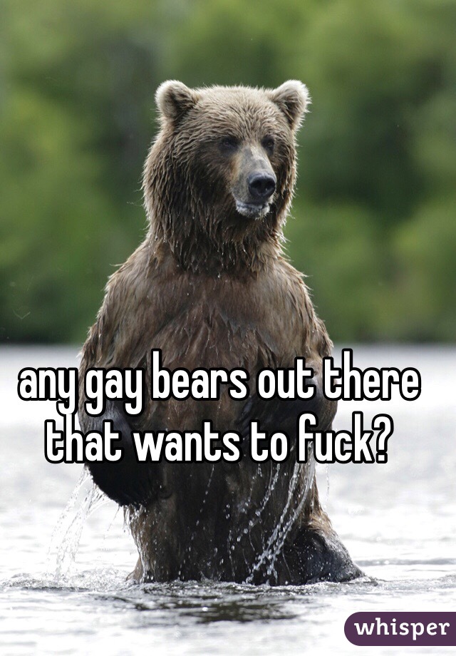 any gay bears out there that wants to fuck? 
