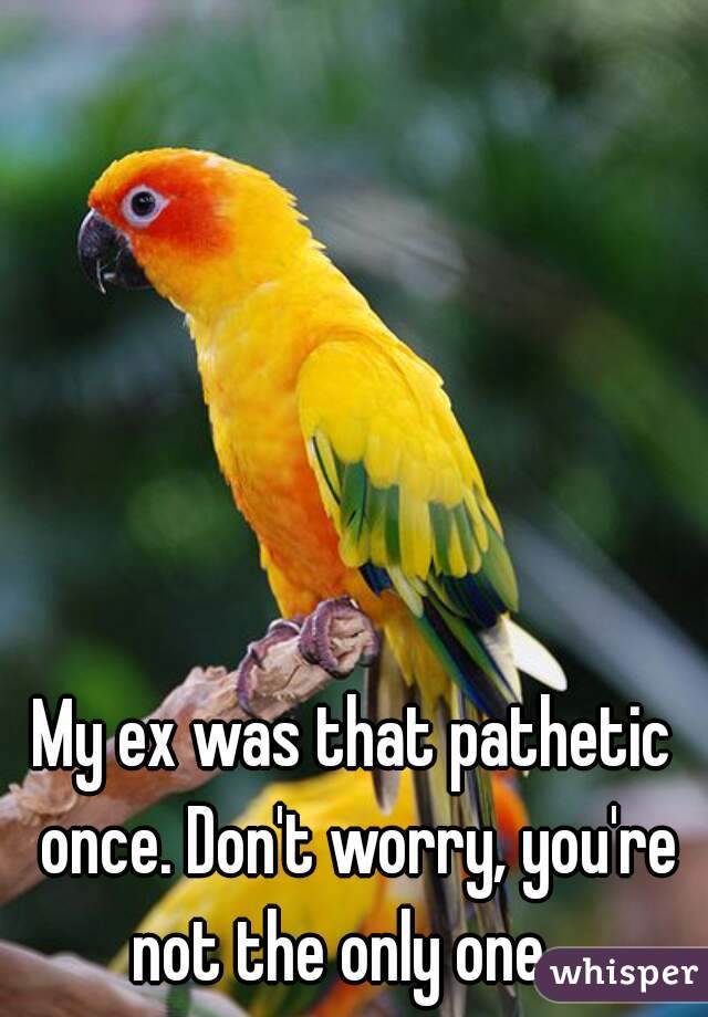 My ex was that pathetic once. Don't worry, you're not the only one.  