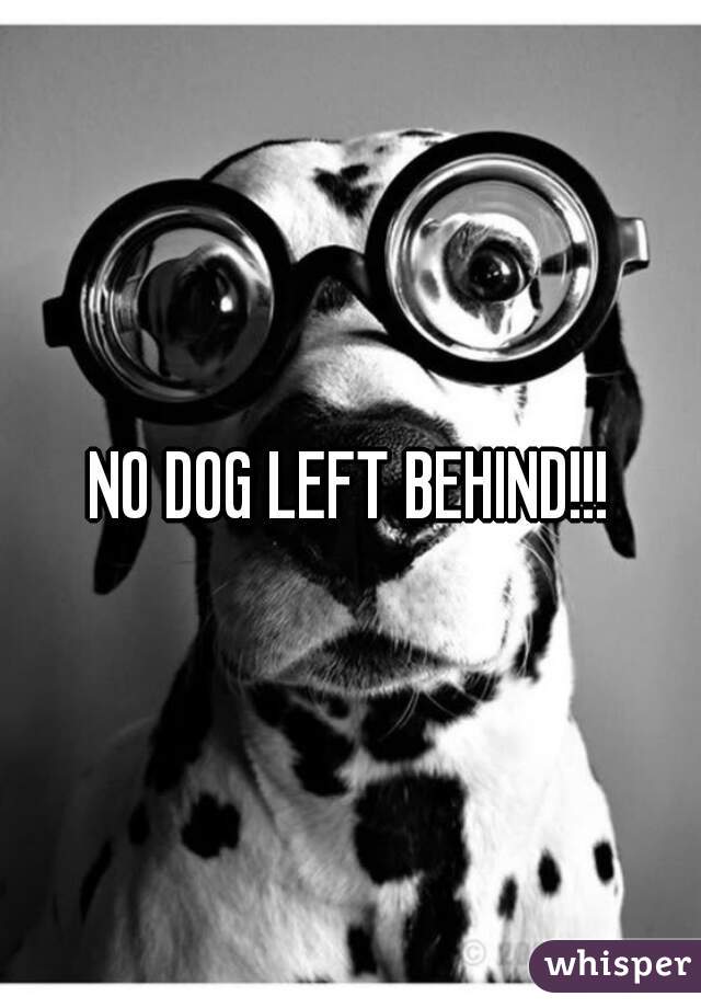 NO DOG LEFT BEHIND!!!