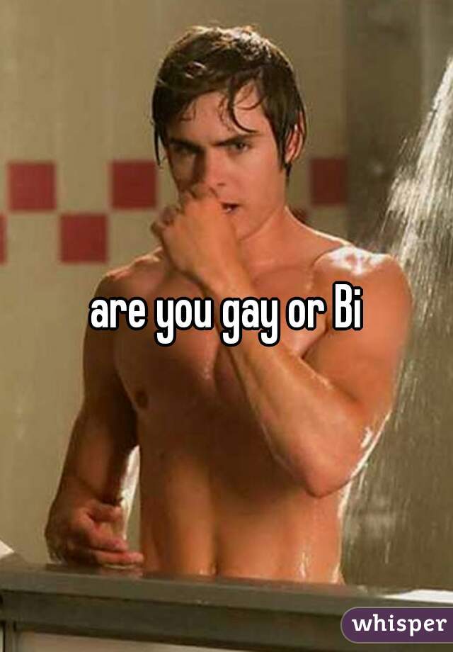 are you gay or Bi
