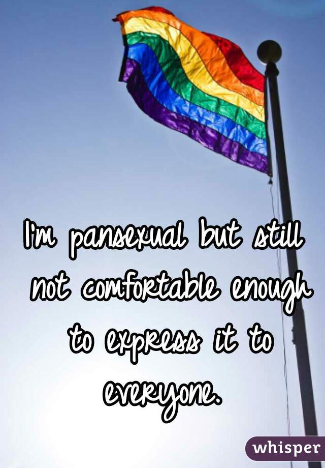 I'm pansexual but still not comfortable enough to express it to everyone. 