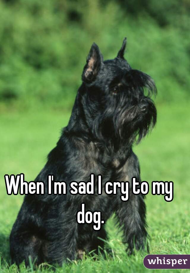 When I'm sad I cry to my dog.