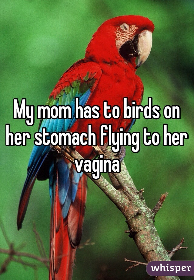 My mom has to birds on her stomach flying to her vagina
