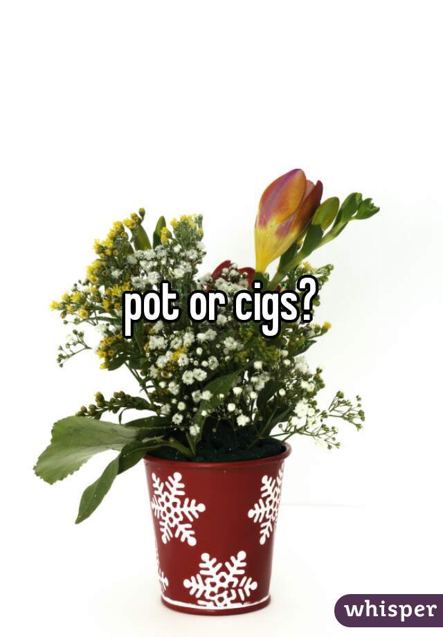 pot or cigs?