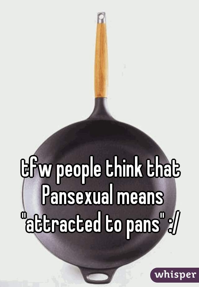 tfw people think that Pansexual means "attracted to pans" :/ 