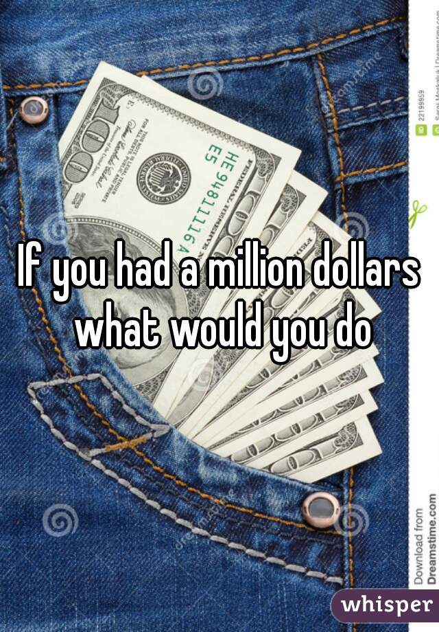 If you had a million dollars what would you do