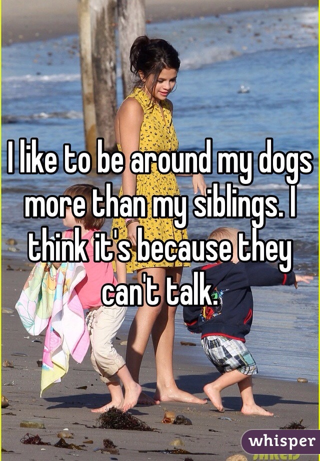 I like to be around my dogs more than my siblings. I think it's because they can't talk. 