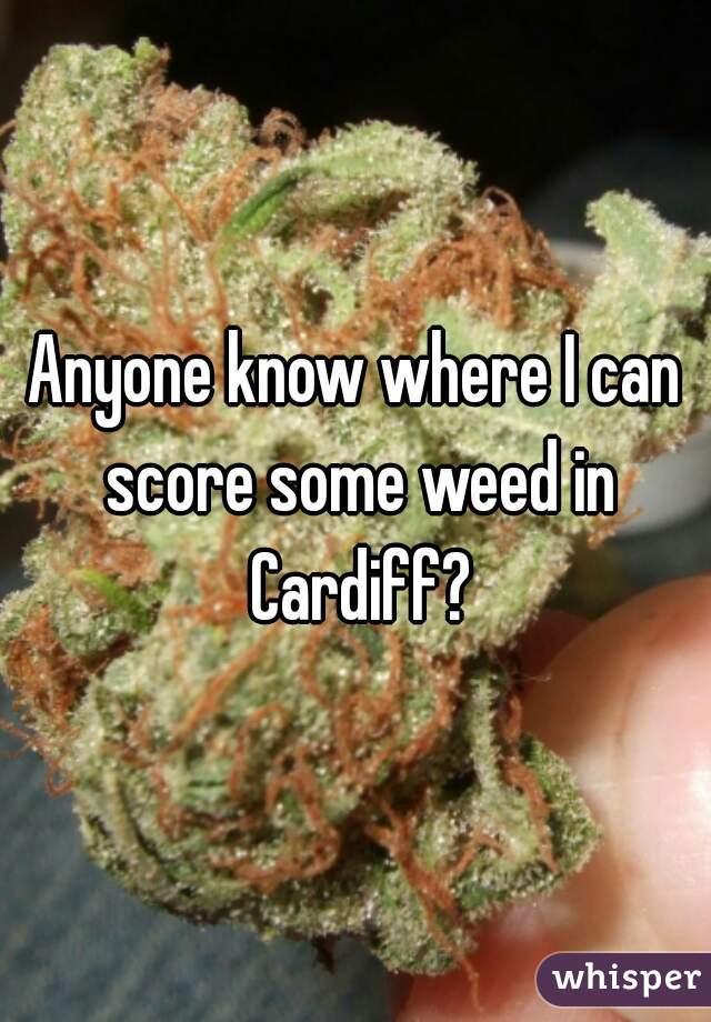 Anyone know where I can score some weed in Cardiff?