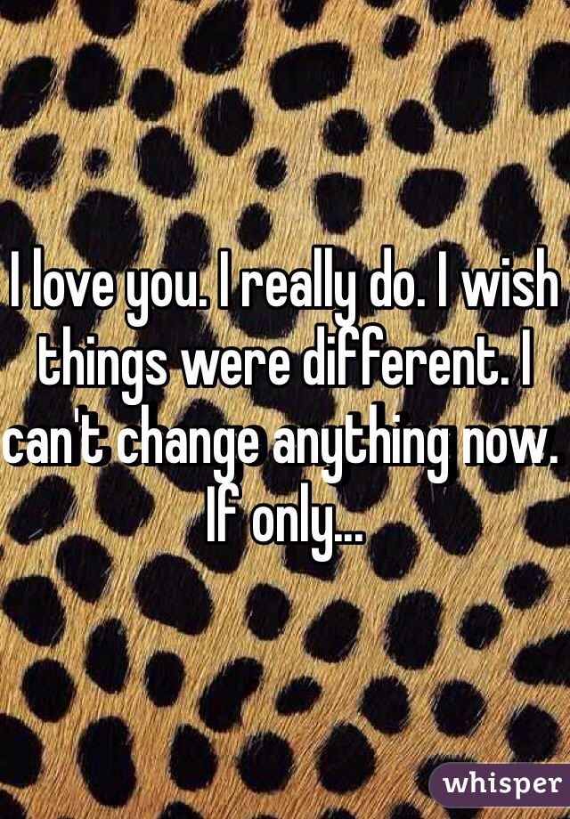 I love you. I really do. I wish things were different. I can't change anything now. If only...