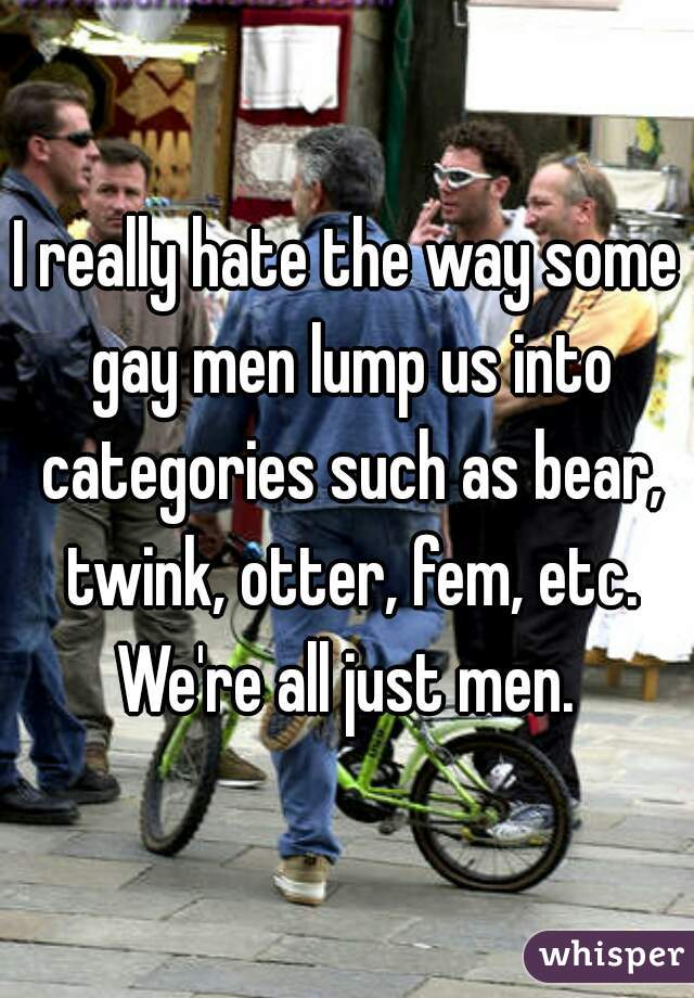I really hate the way some gay men lump us into categories such as bear, twink, otter, fem, etc. We're all just men. 