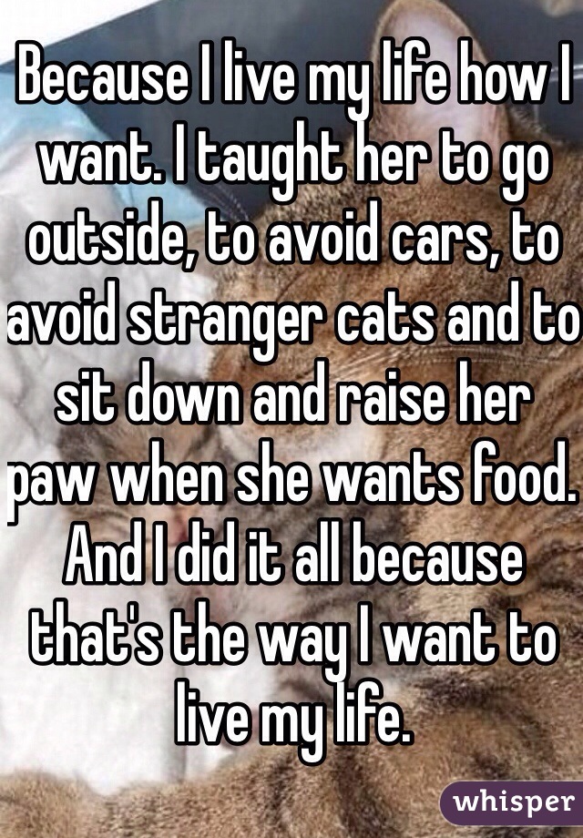 Because I live my life how I want. I taught her to go outside, to avoid cars, to avoid stranger cats and to sit down and raise her paw when she wants food. And I did it all because that's the way I want to live my life.