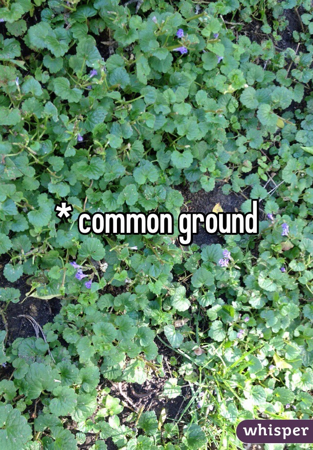 * common ground