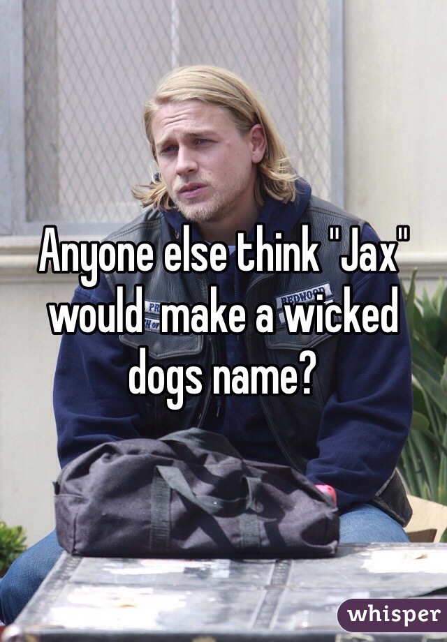 Anyone else think "Jax" would  make a wicked dogs name?