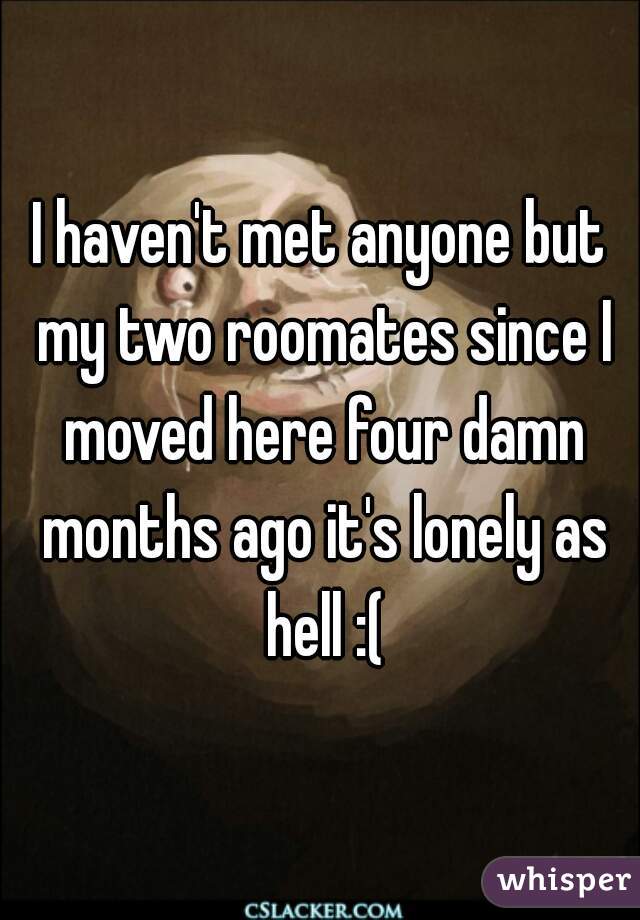 I haven't met anyone but my two roomates since I moved here four damn months ago it's lonely as hell :(