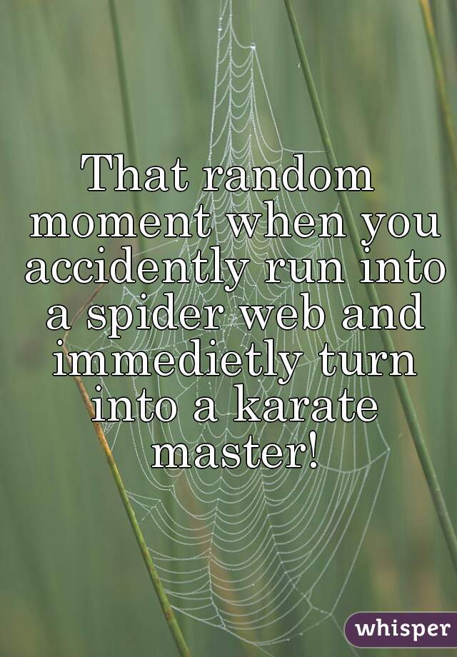That random moment when you accidently run into a spider web and immedietly turn into a karate master!