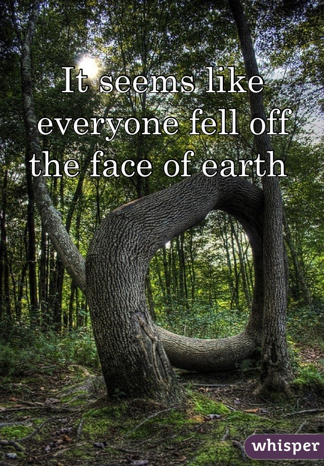 It seems like everyone fell off the face of earth 