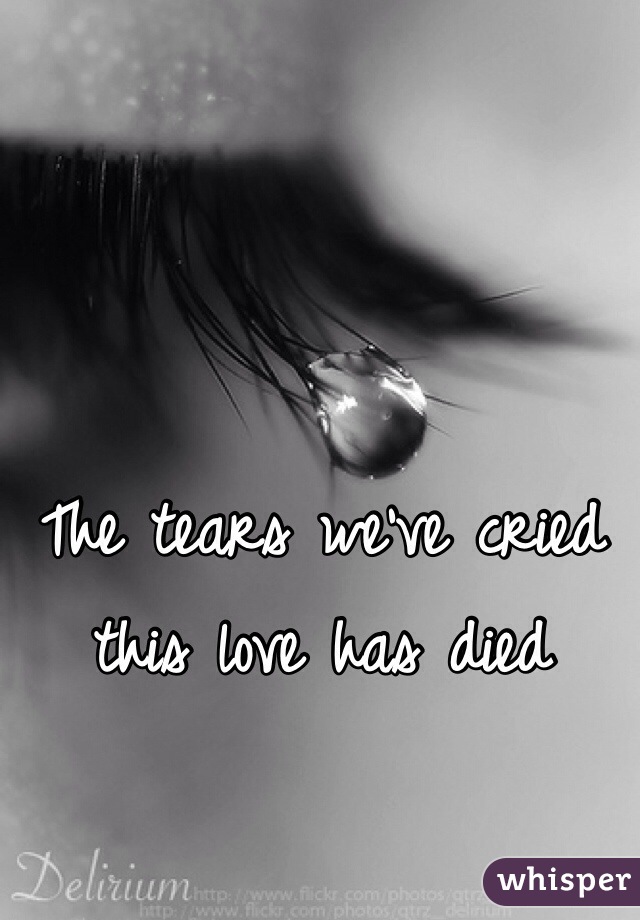 The tears we've cried this love has died 