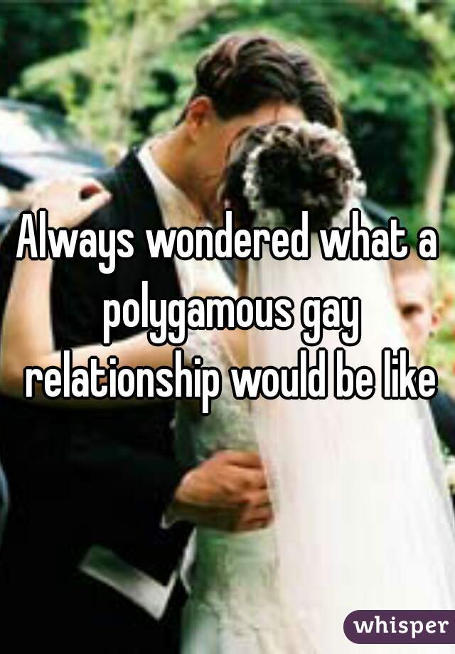 Always wondered what a polygamous gay relationship would be like