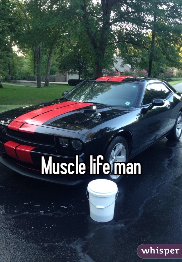 Muscle life man