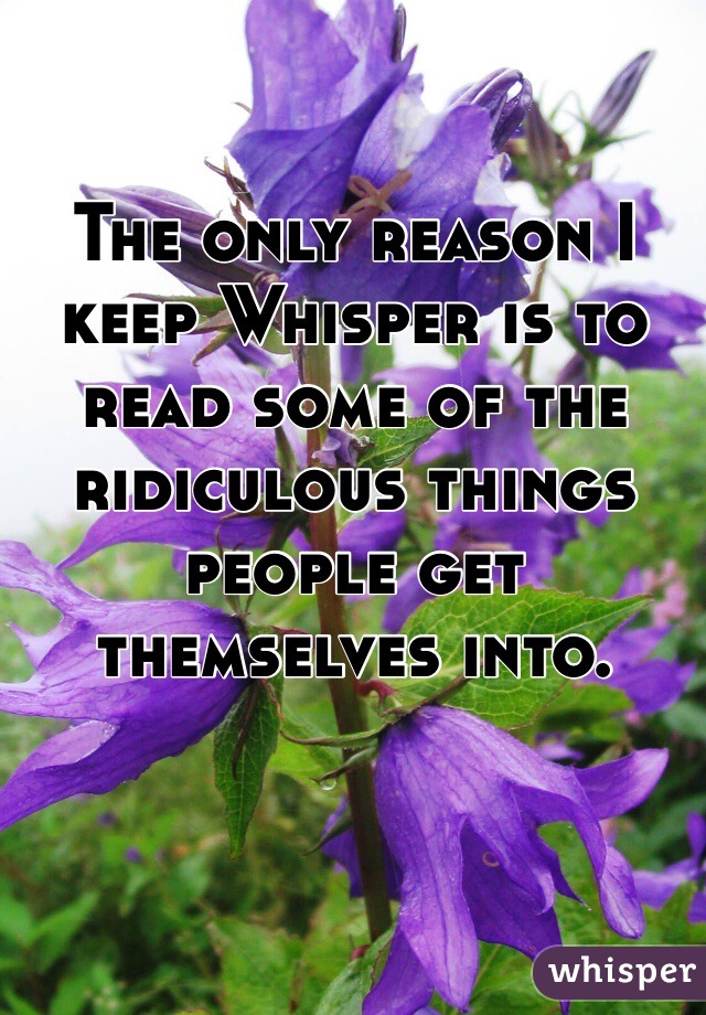 The only reason I keep Whisper is to read some of the ridiculous things people get themselves into. 