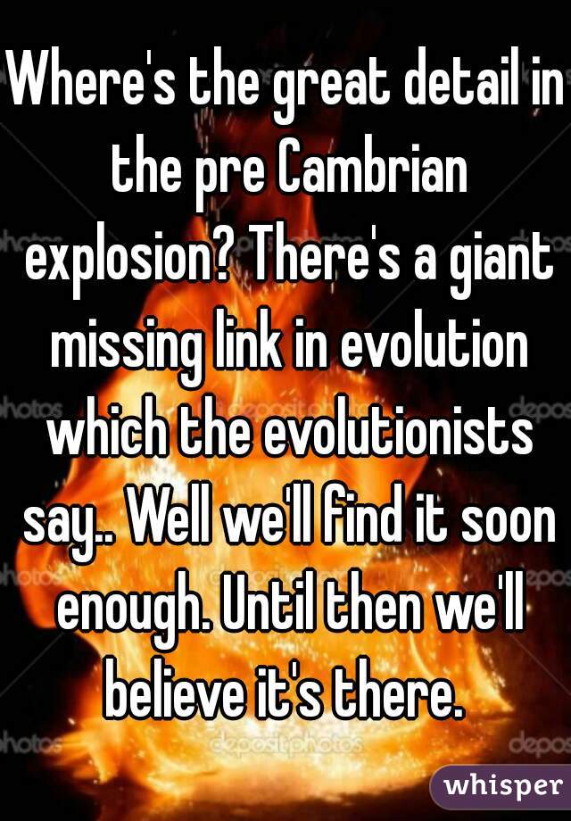 Where's the great detail in the pre Cambrian explosion? There's a giant missing link in evolution which the evolutionists say.. Well we'll find it soon enough. Until then we'll believe it's there. 