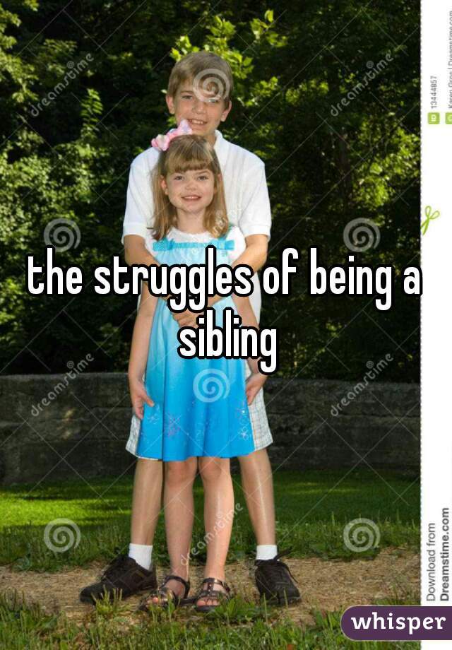 the struggles of being a sibling