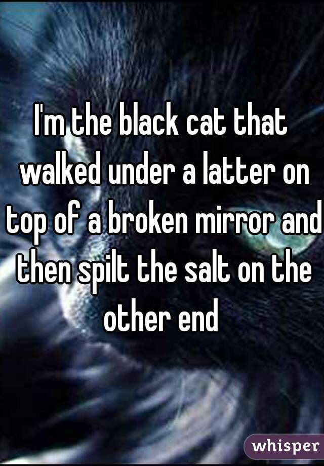 I'm the black cat that walked under a latter on top of a broken mirror and then spilt the salt on the other end 